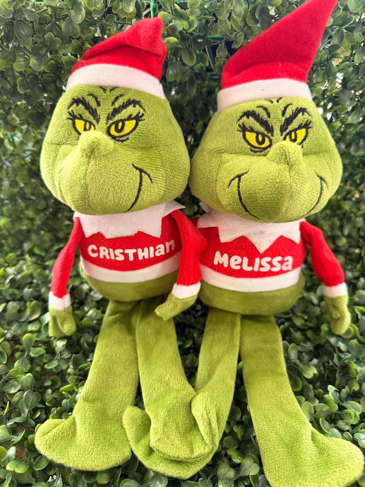Grinch Personalizado